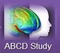 ABCD Study, brain image with face in profile- decorative element